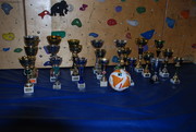 Schulsportmeisterschaften 2009